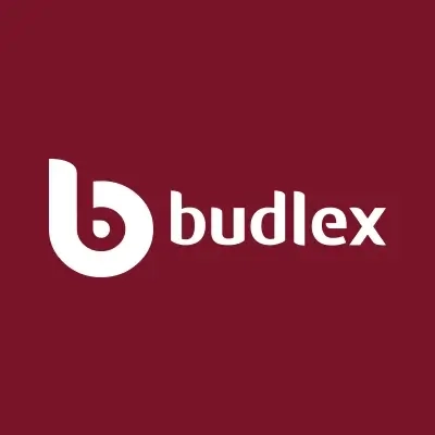 Logotyp Budlex na bordowym tle